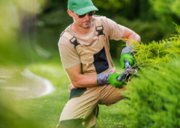 Serviços Terceirizados - serviços de jardinagem